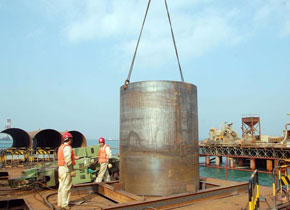 草莓视频成人 草莓视频成人