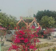 草莓视频成人公司員工南海濕地拓展（zhǎn）訓練(2017.2.18-19)