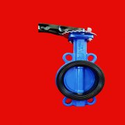 對夾（jiá）式蝶閥加工（gōng）定製